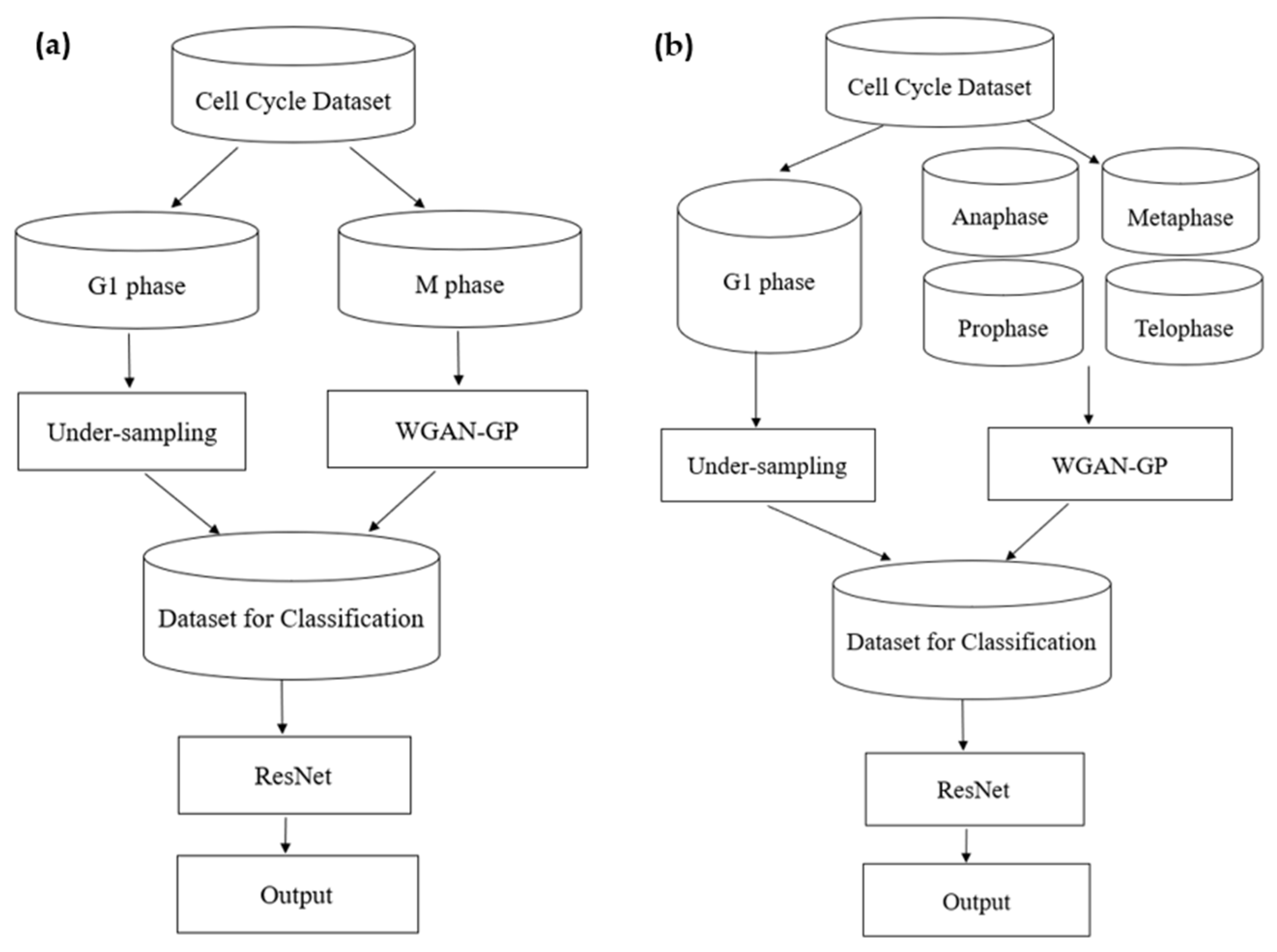 Information 12 00249 g001 Information 12 00249 g001