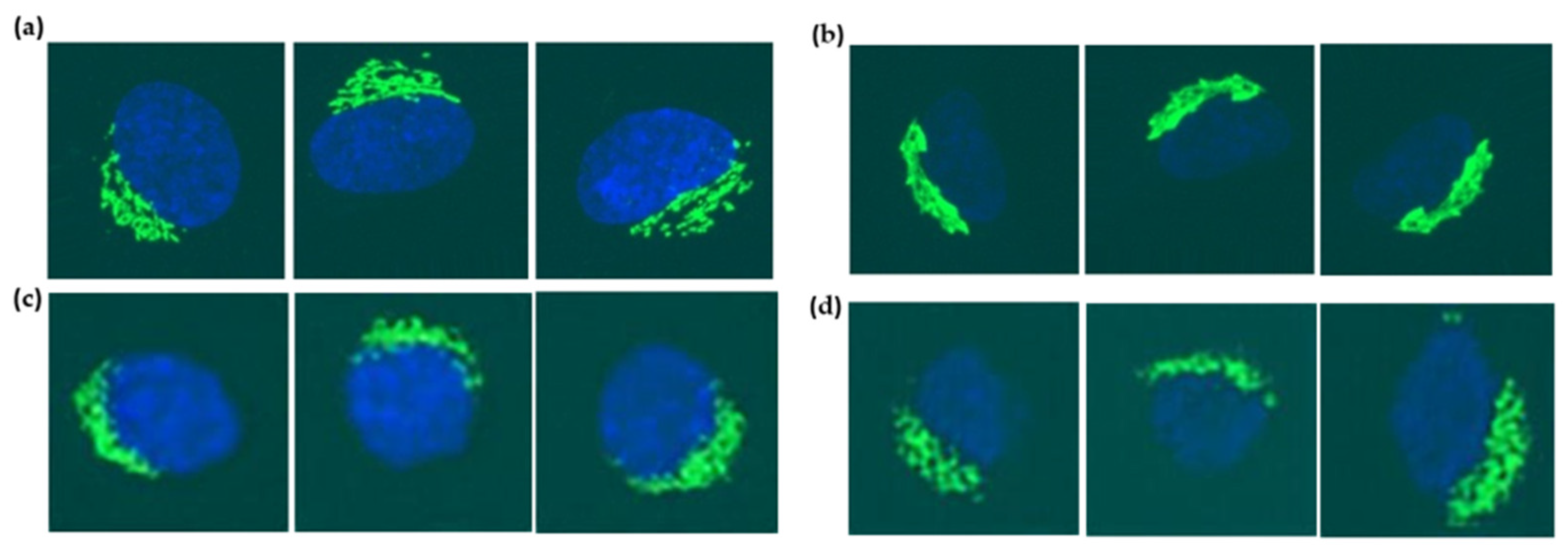 Information 12 00249 g009 Information 12 00249 g009