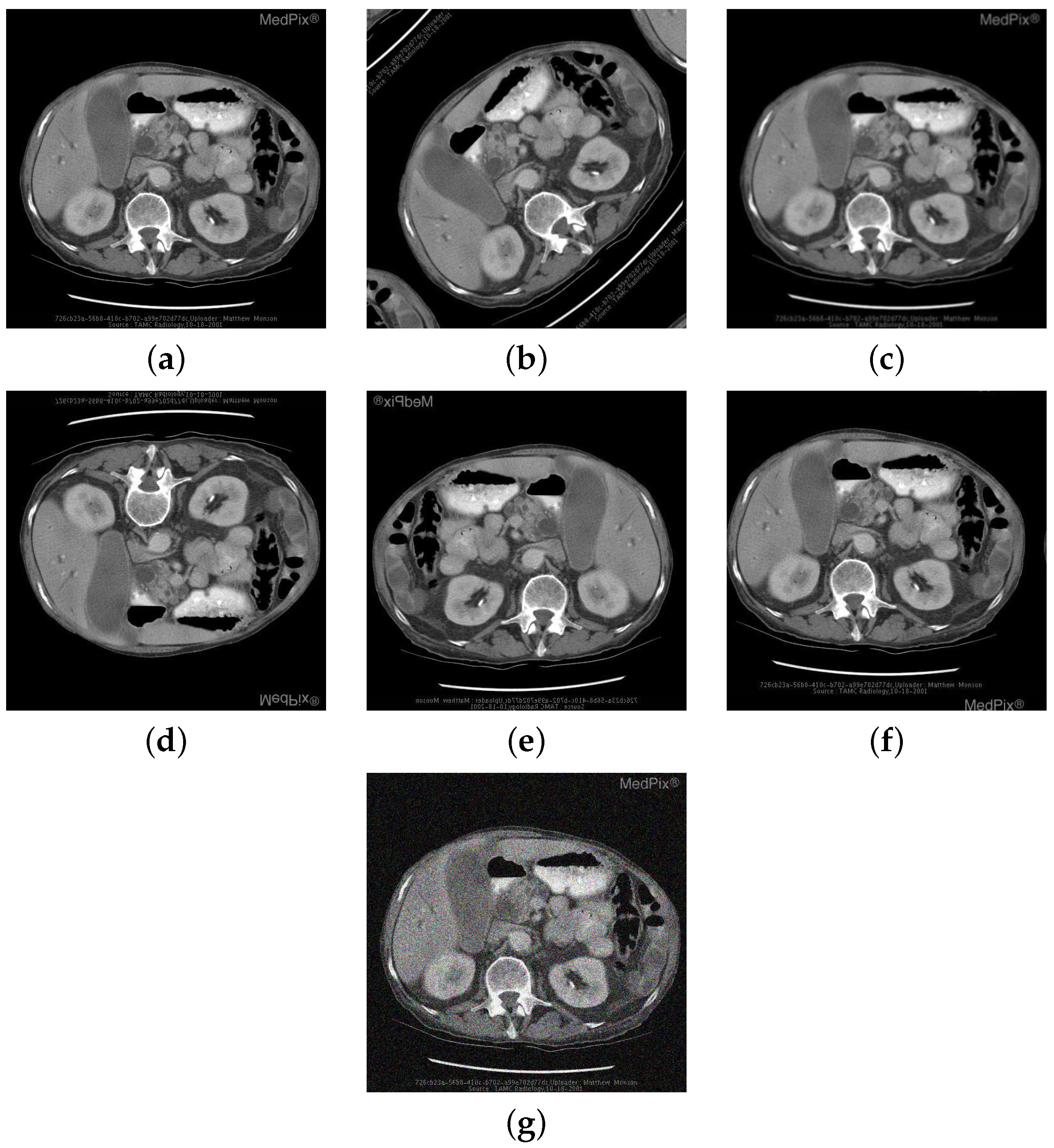 Information 12 00334 g005 Information 12 00334 g005