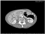 Information 12 00334 i003 Information 12 00334 i003