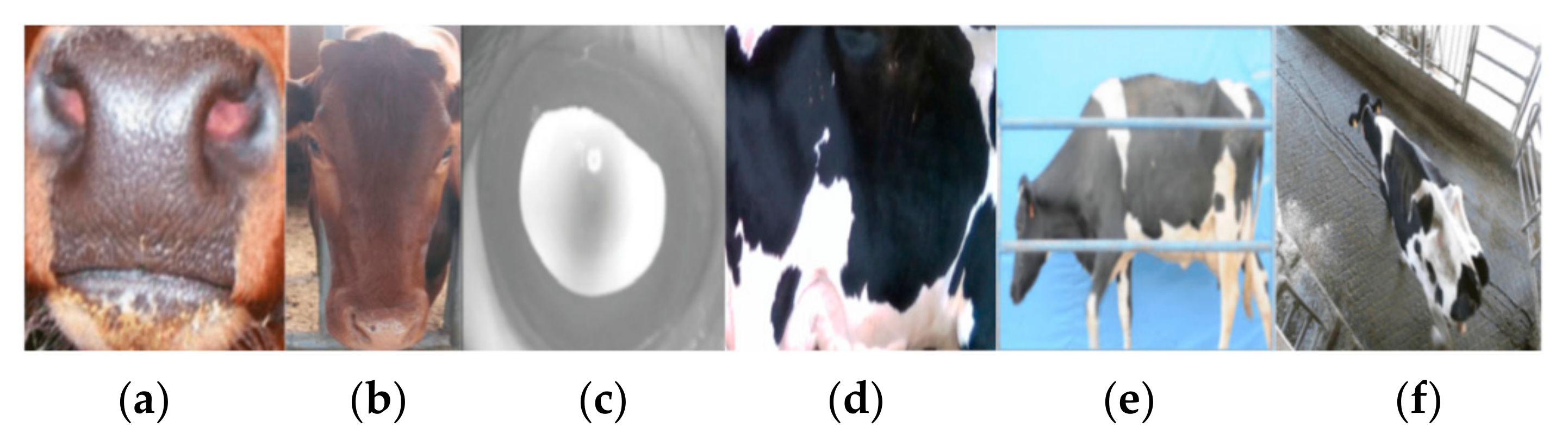 Information 12 00361 g001