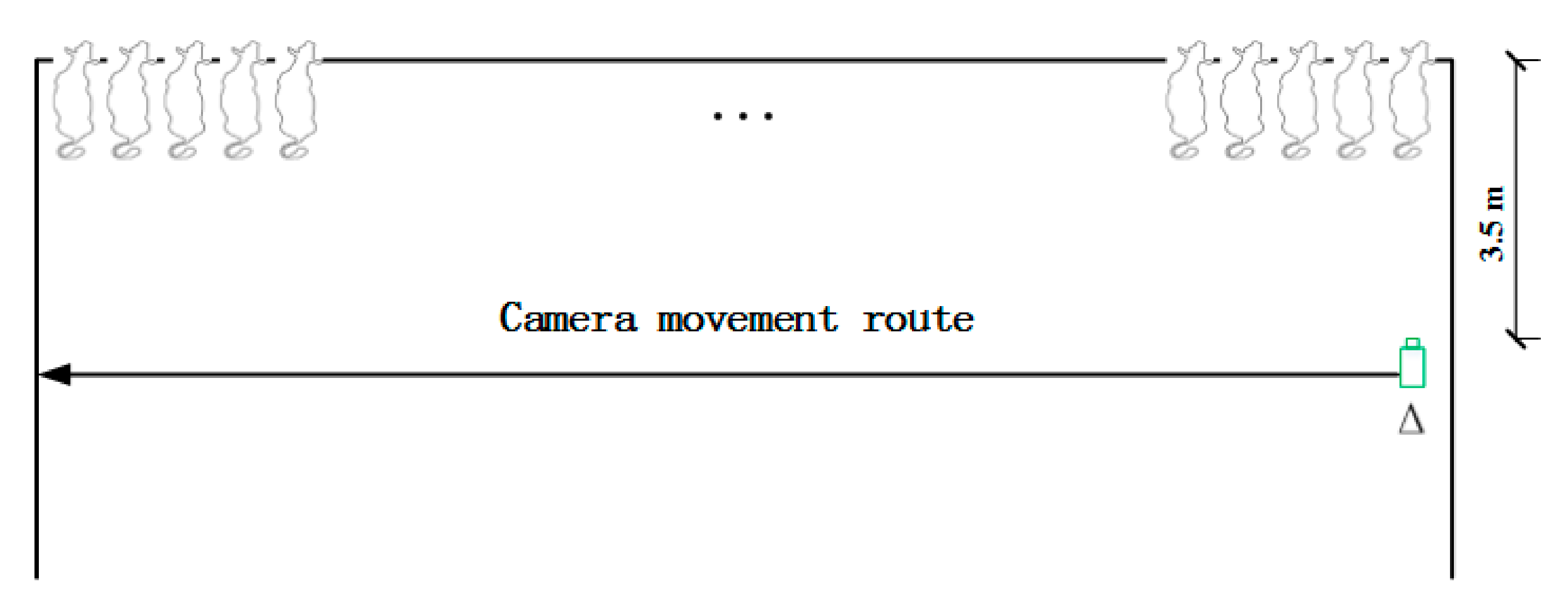 Information 12 00361 g002