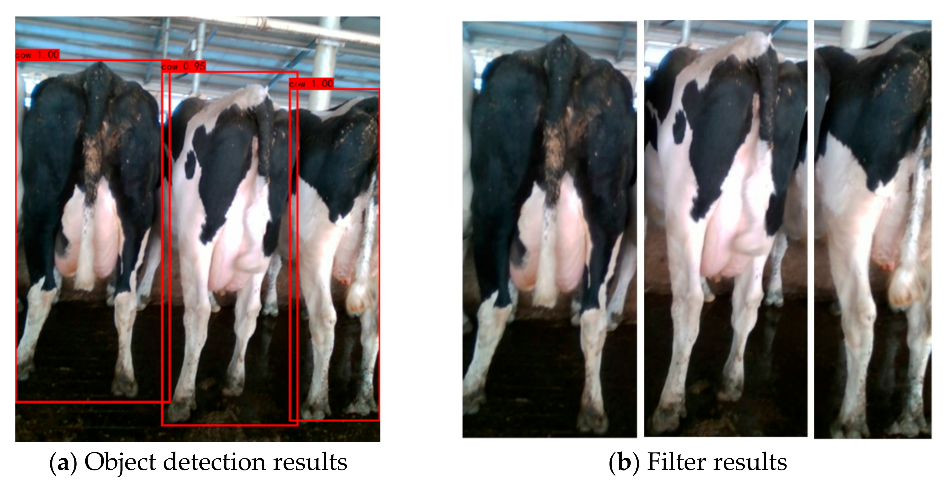 Information 12 00361 g004