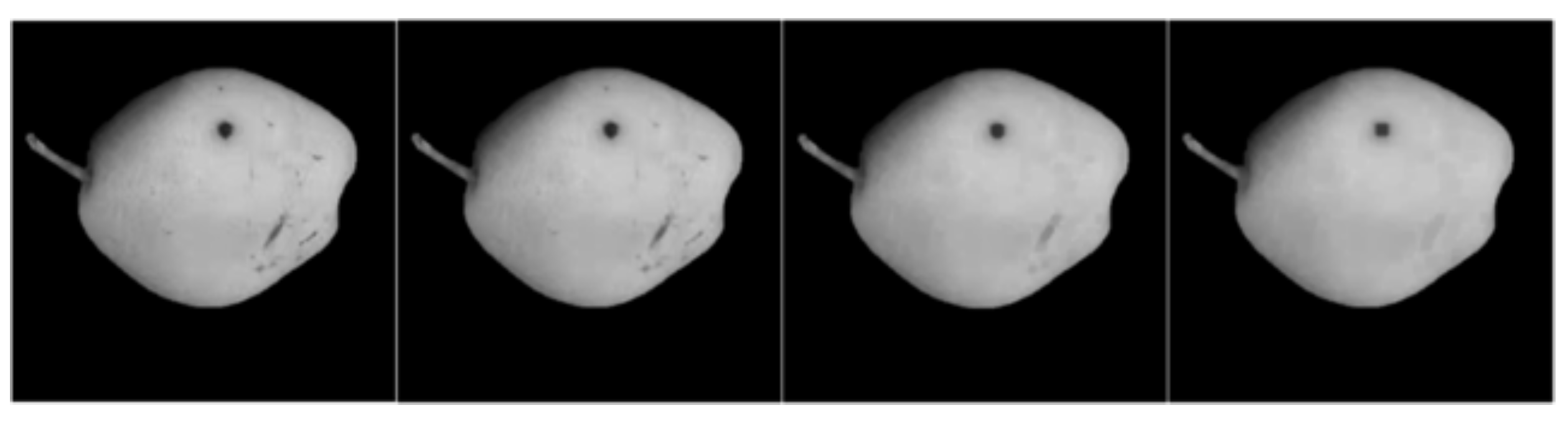 Information 12 00397 g004 550