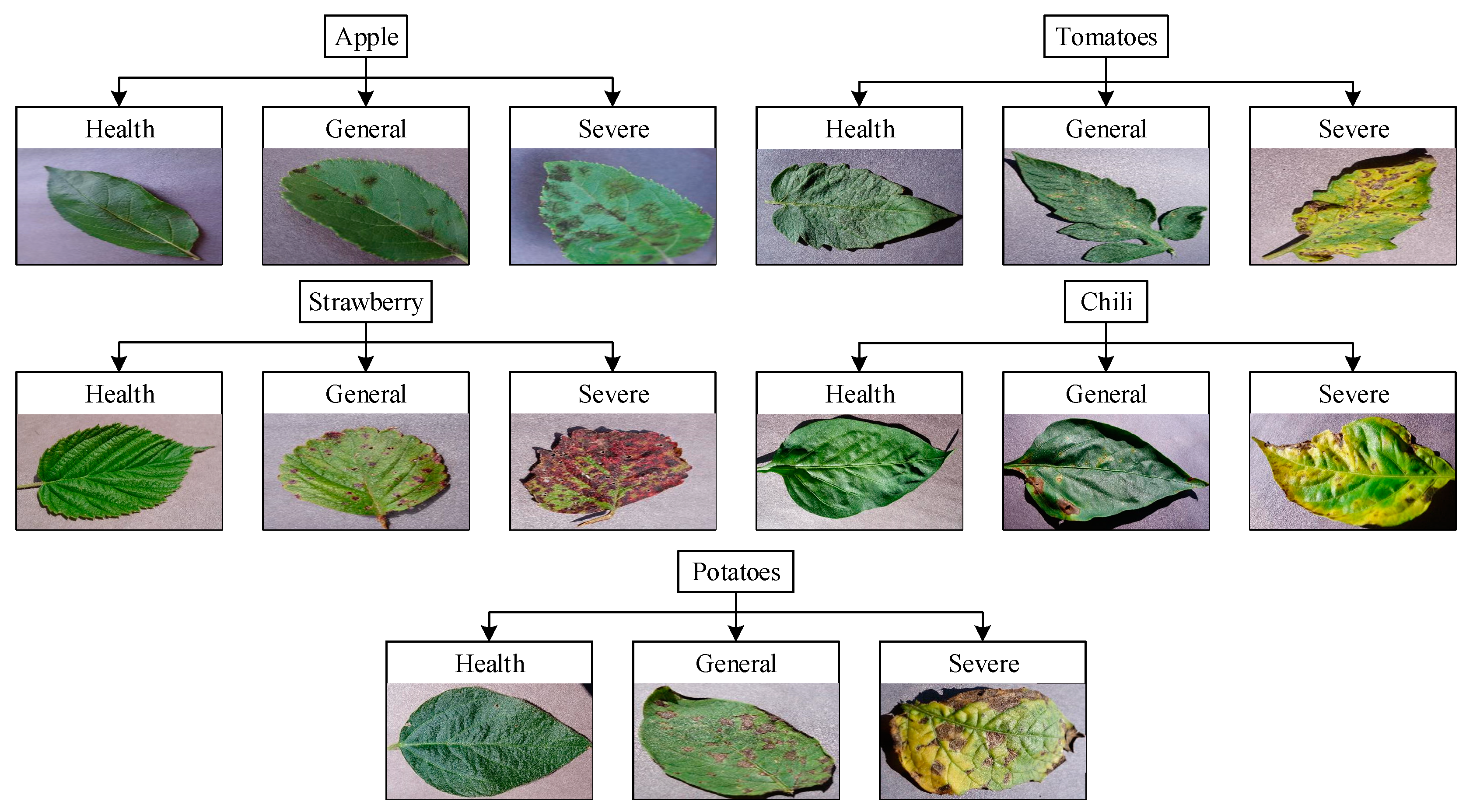 Information 12 00474 g007 550