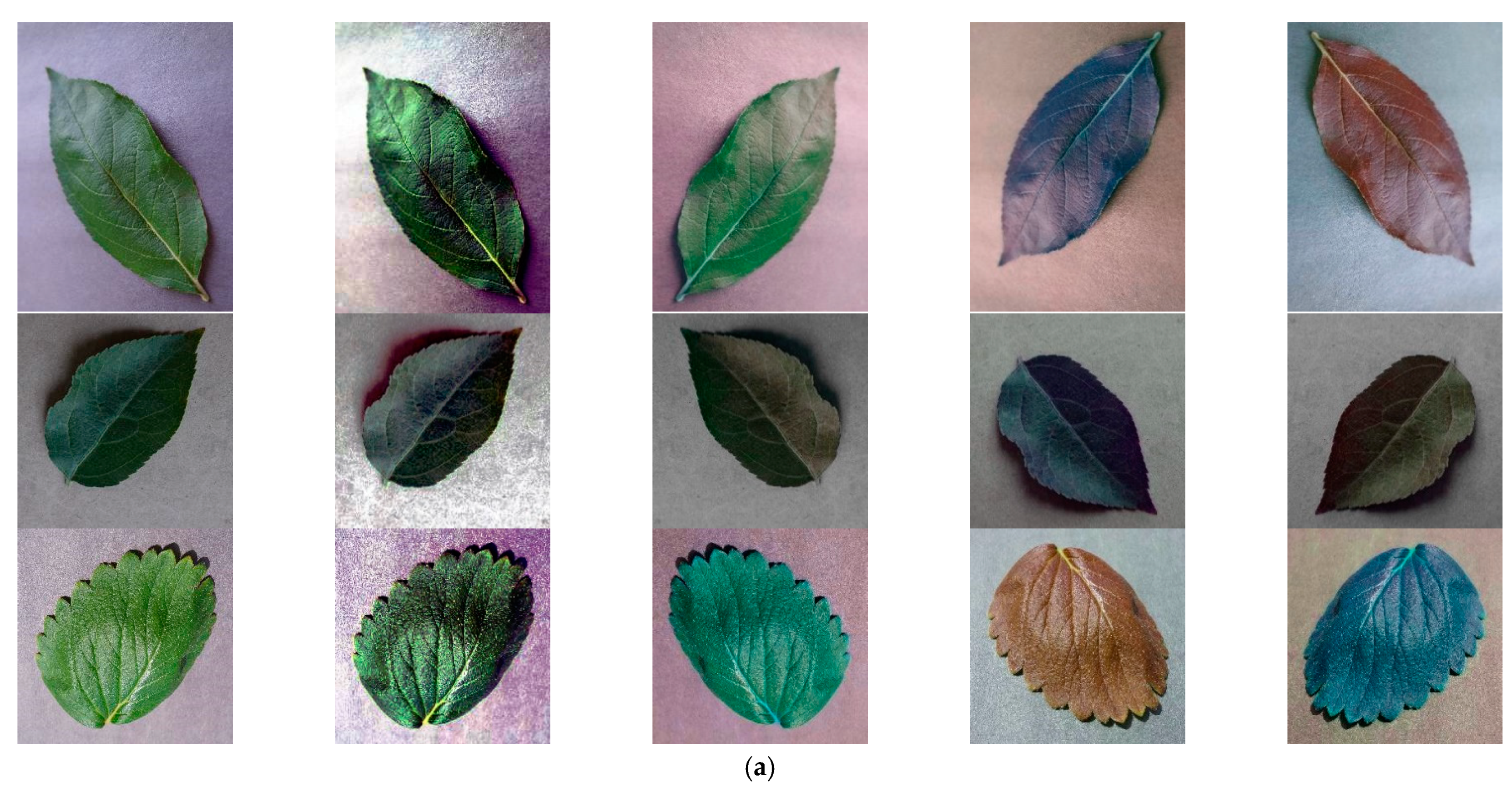 Information 12 00474 g008a 550