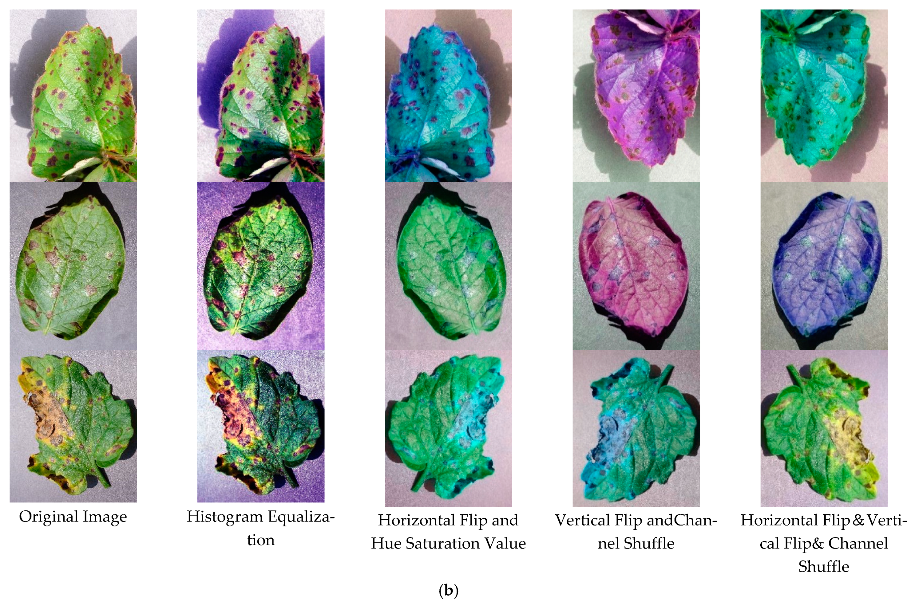 Information 12 00474 g008b 550