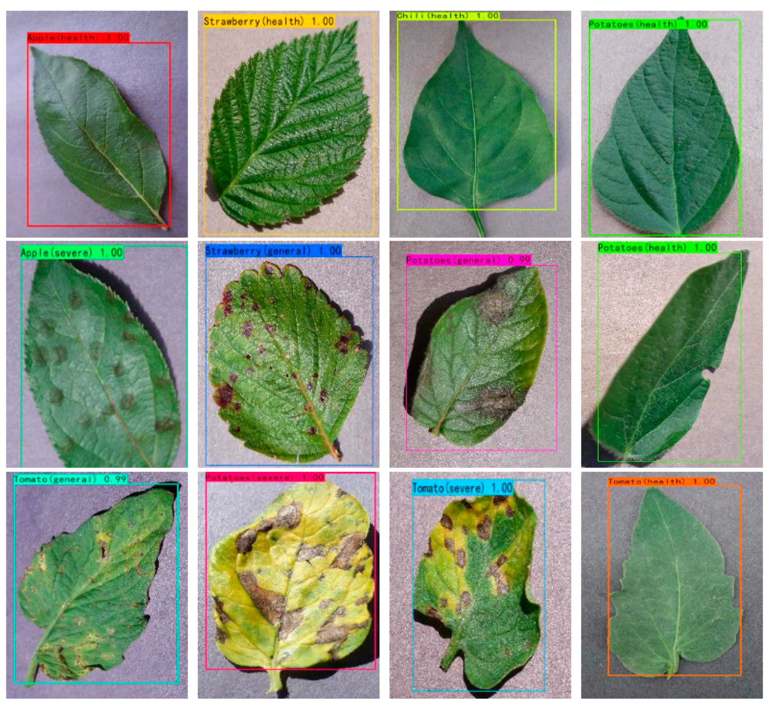 Information 12 00474 g016a 550