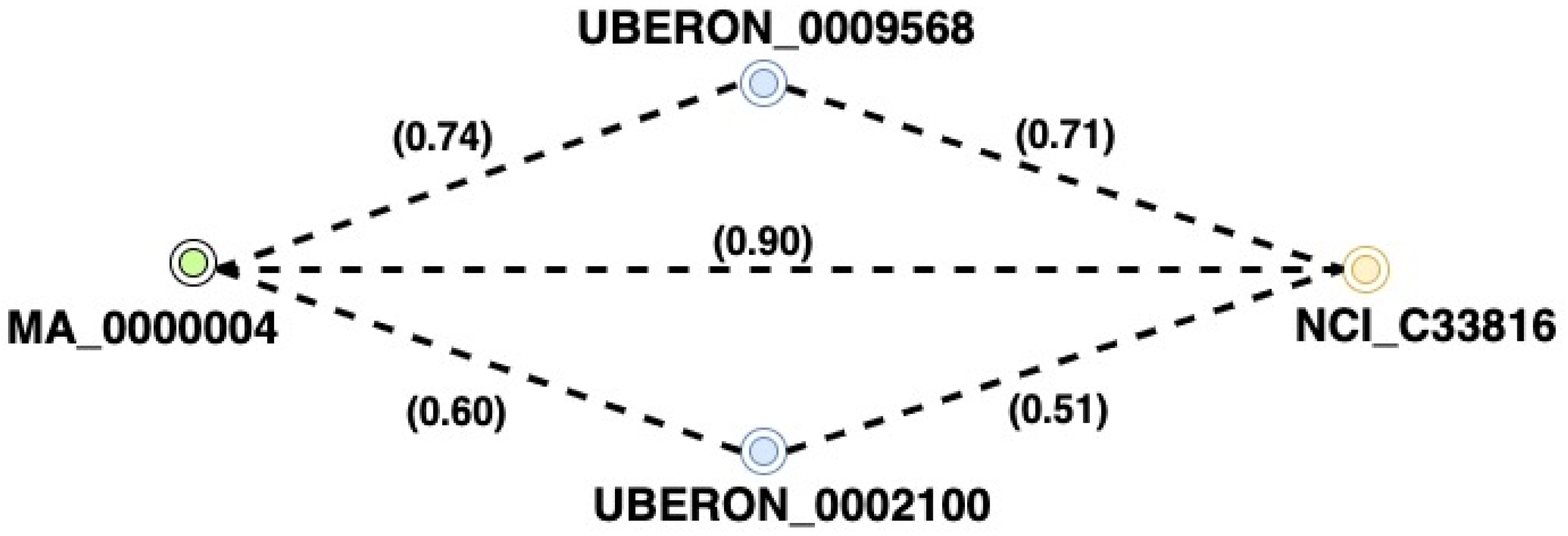 Information 12 00487 g004 Information 12 00487 g004