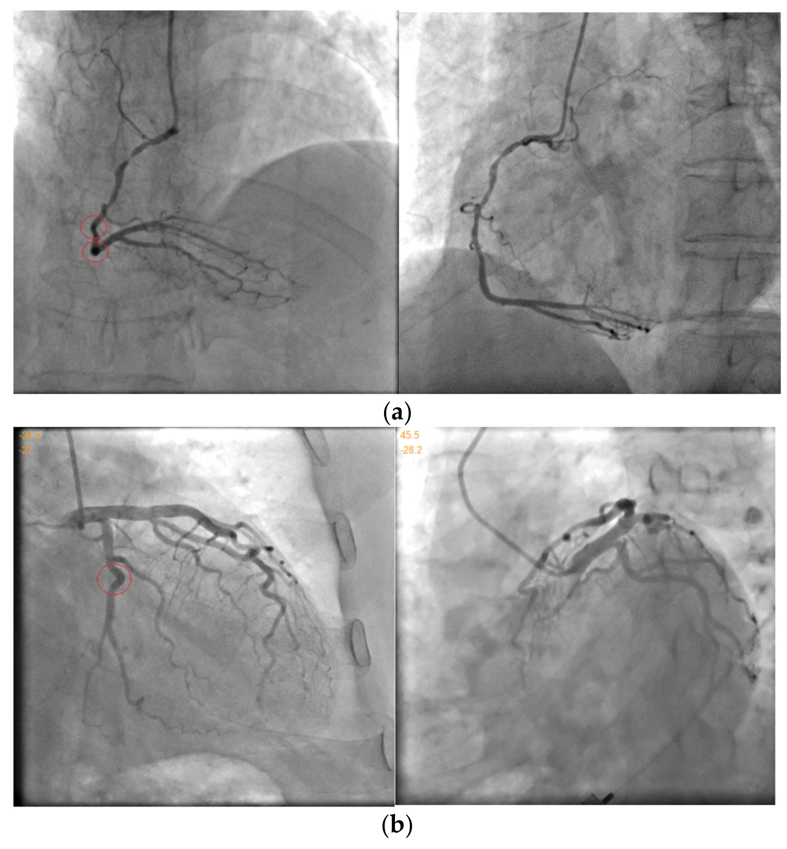 Information 13 00038 g003