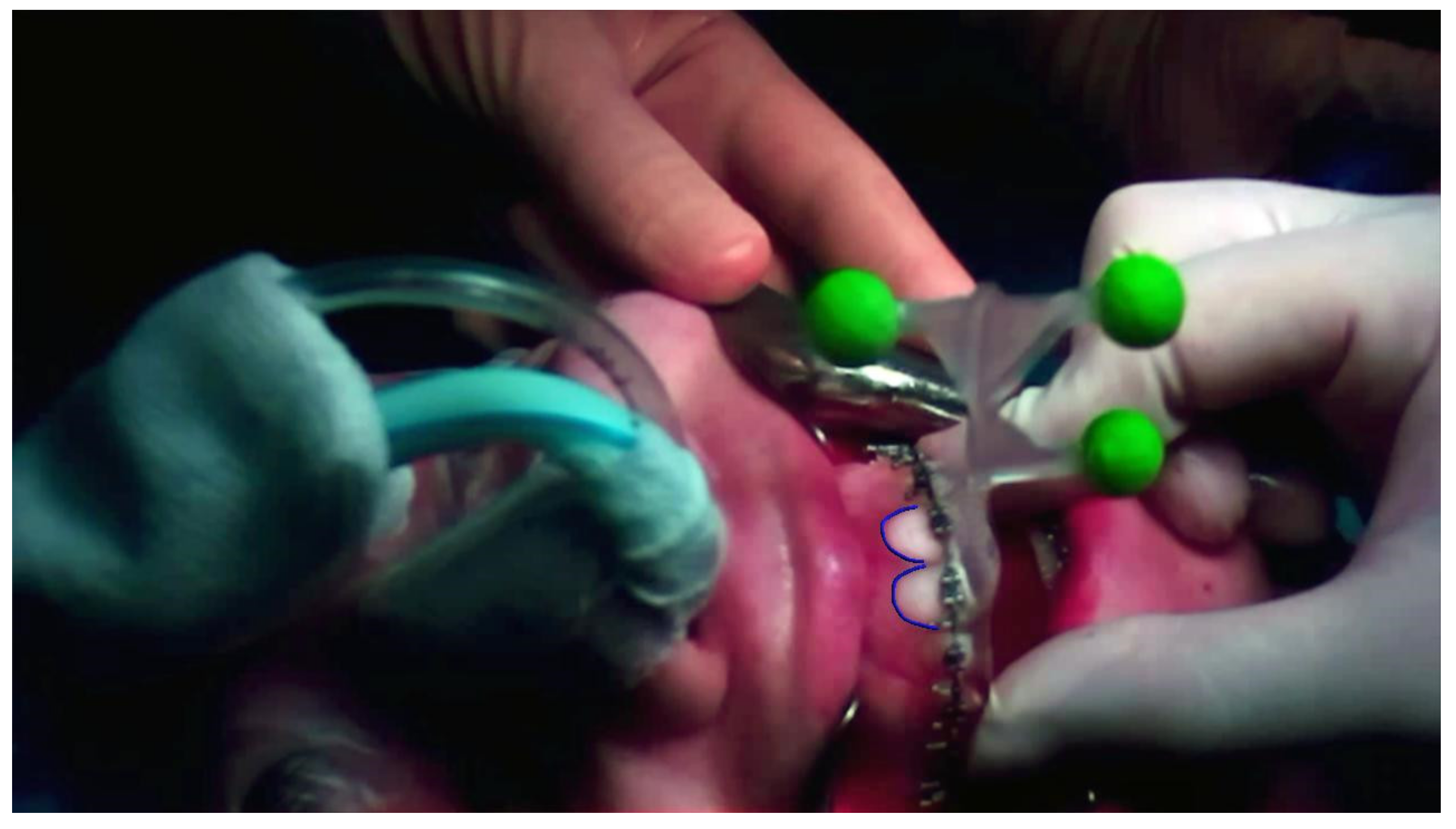 Information 13 00081 g005 550