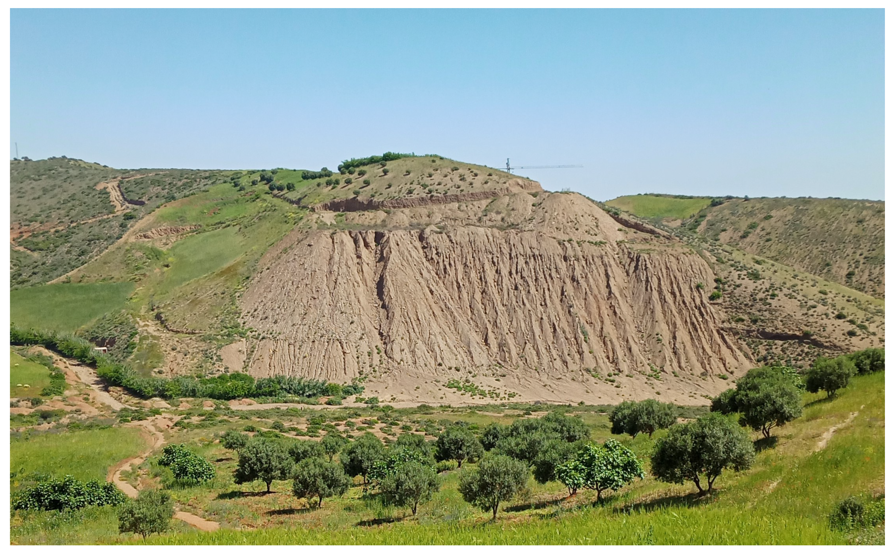 Information 13 00089 g007 550