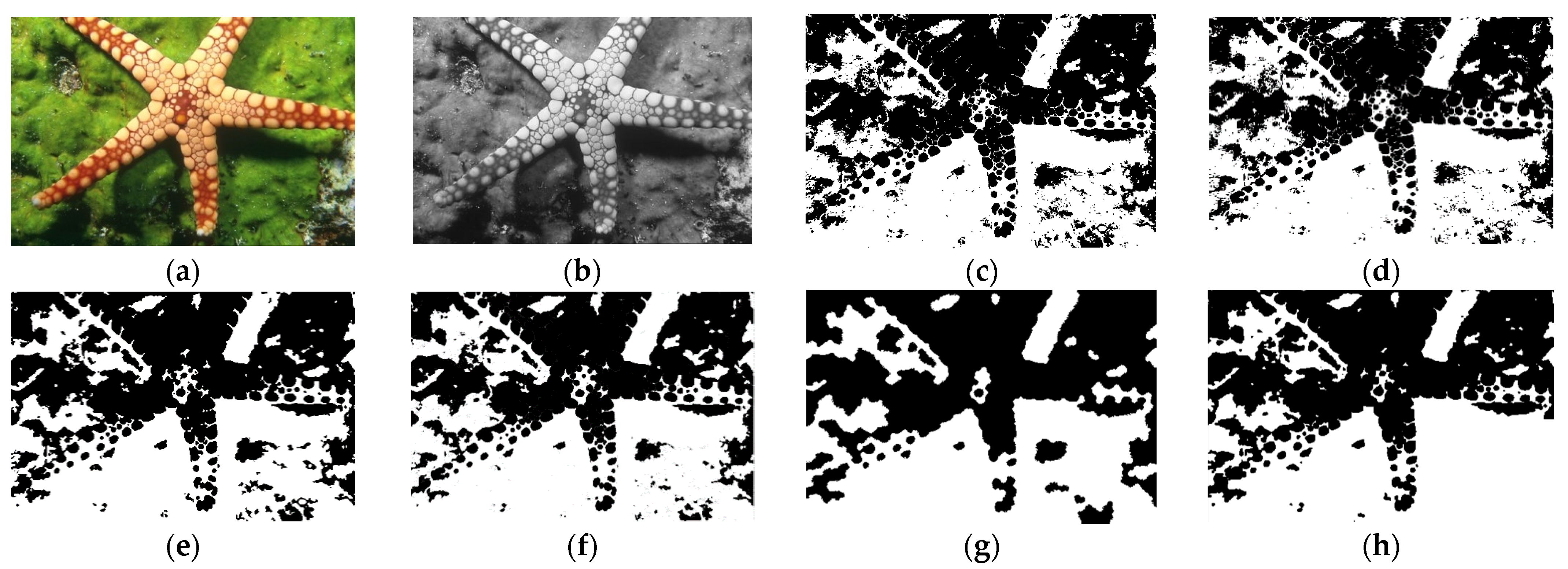 Information 13 00098 g005