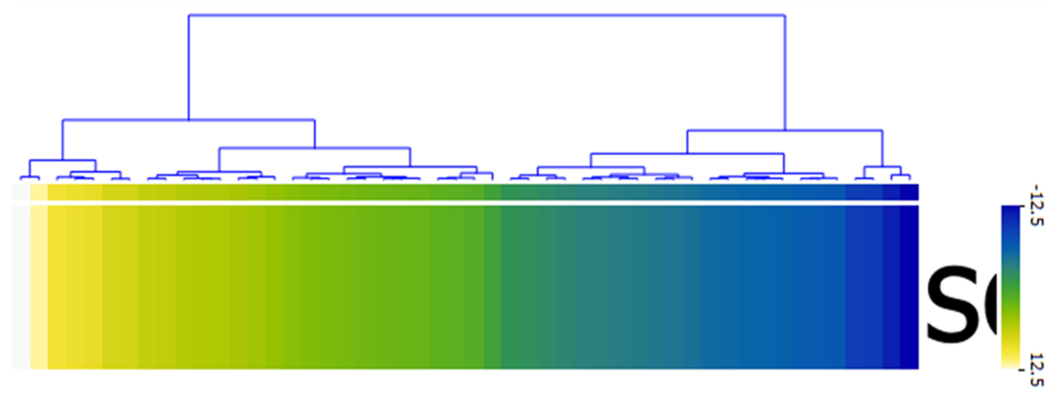 Information 13 00152 g006