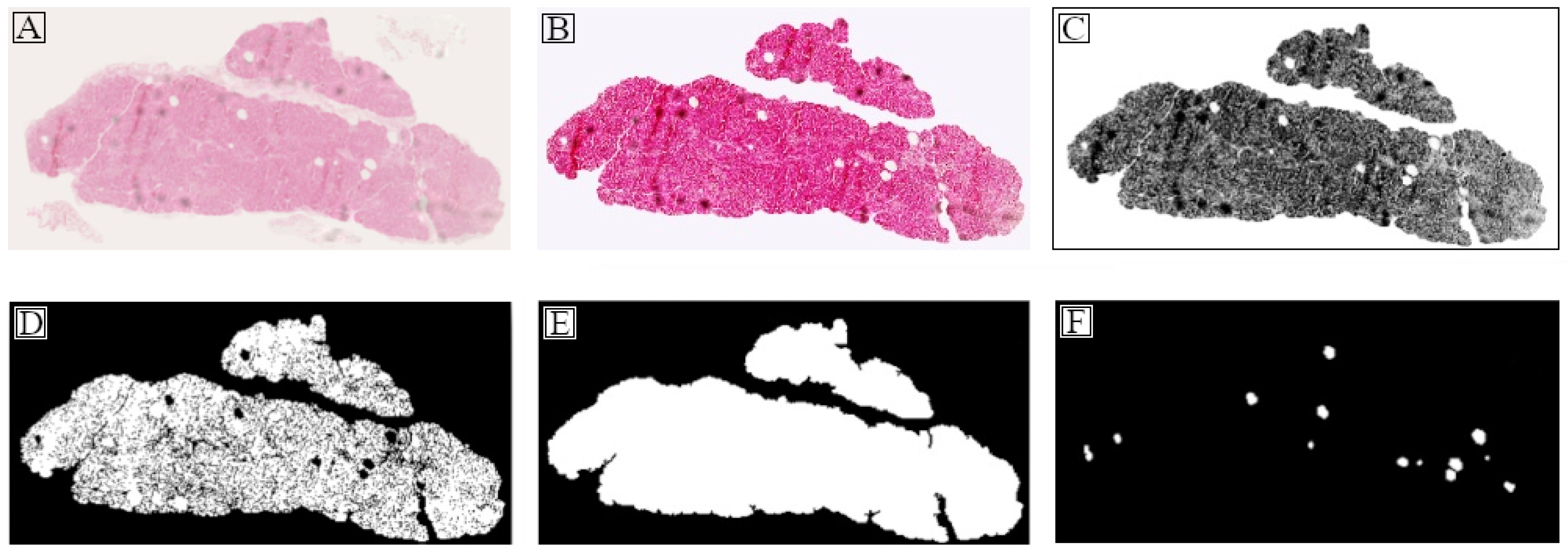 Information 13 00160 g002