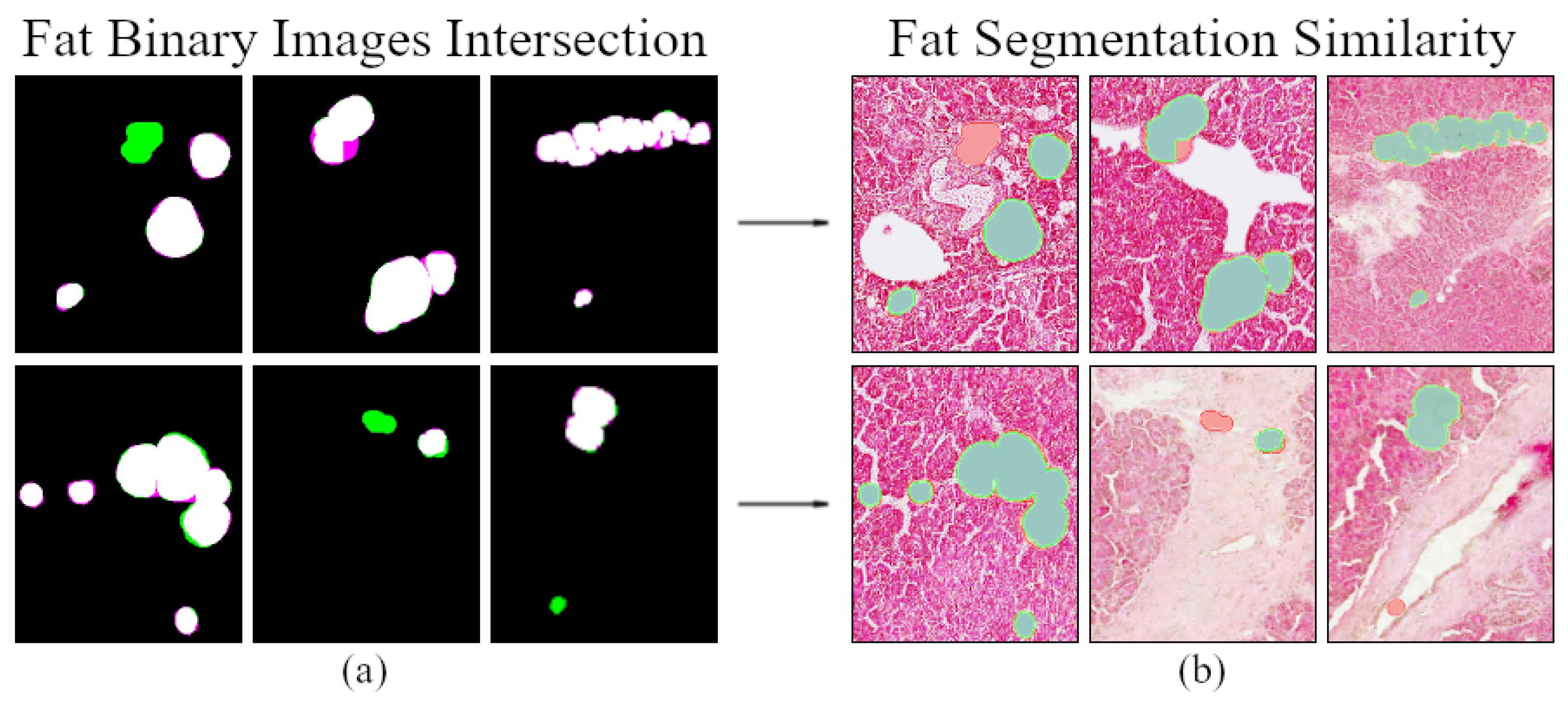 Information 13 00160 g007