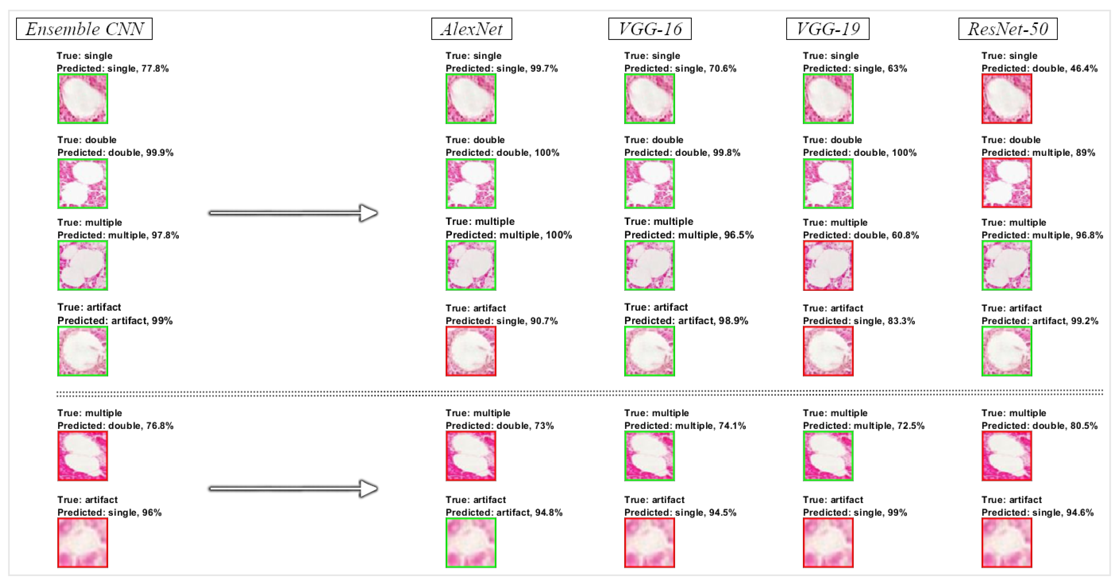 Information 13 00160 g008
