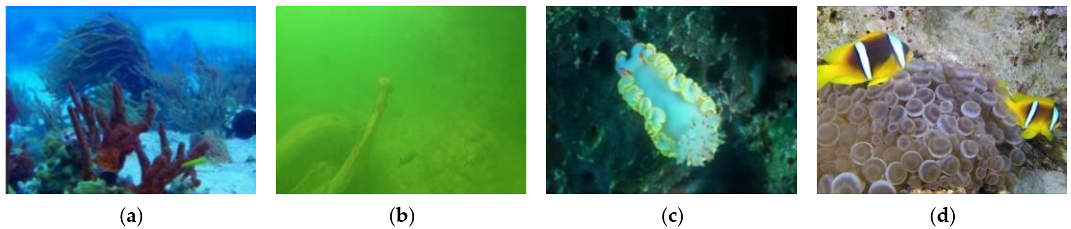 Information 13 00187 g001