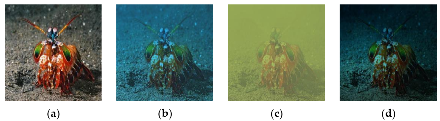 Information 13 00187 g010