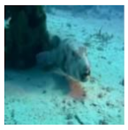 Information 13 00187 i001