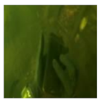 Information 13 00187 i004