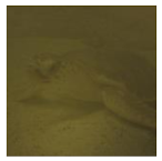 Information 13 00187 i008