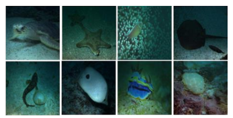 Information 13 00187 i037