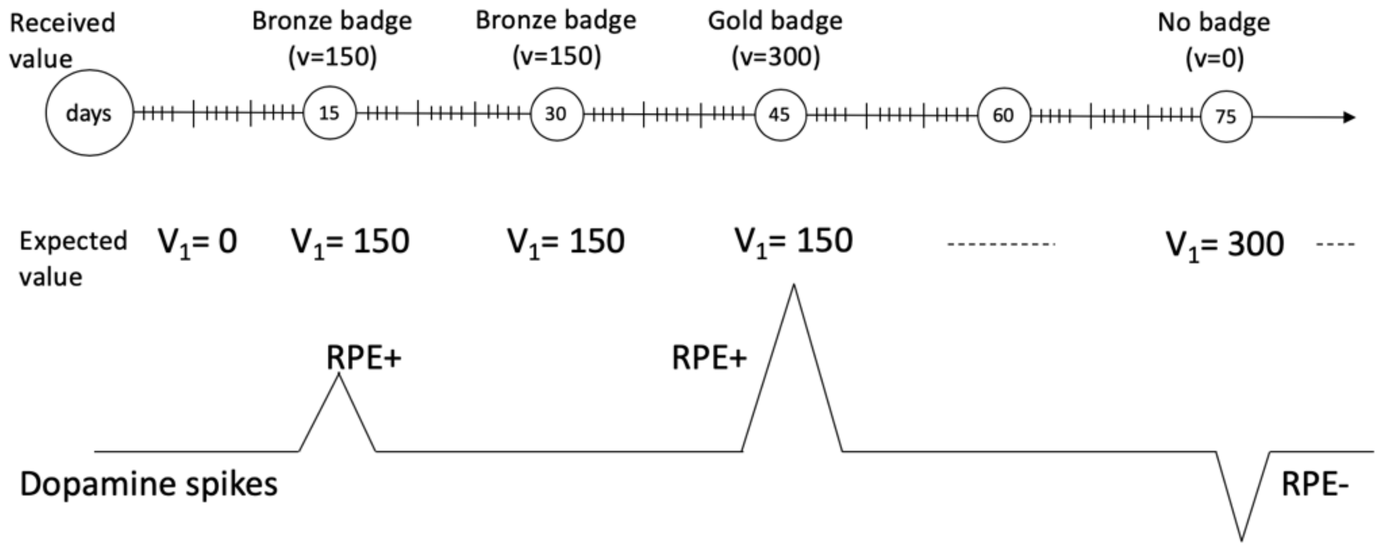 Information 13 00258 g004