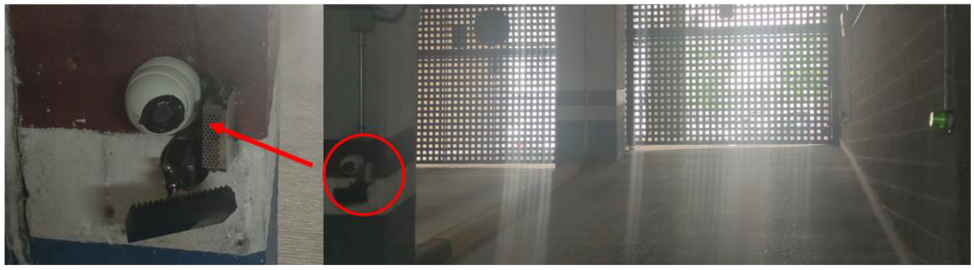 Information 13 00325 g001