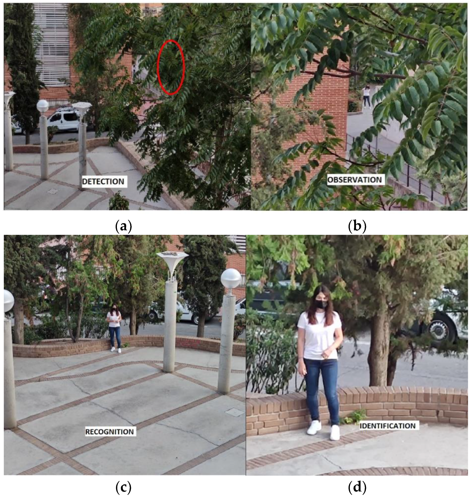 Information 13 00325 g002