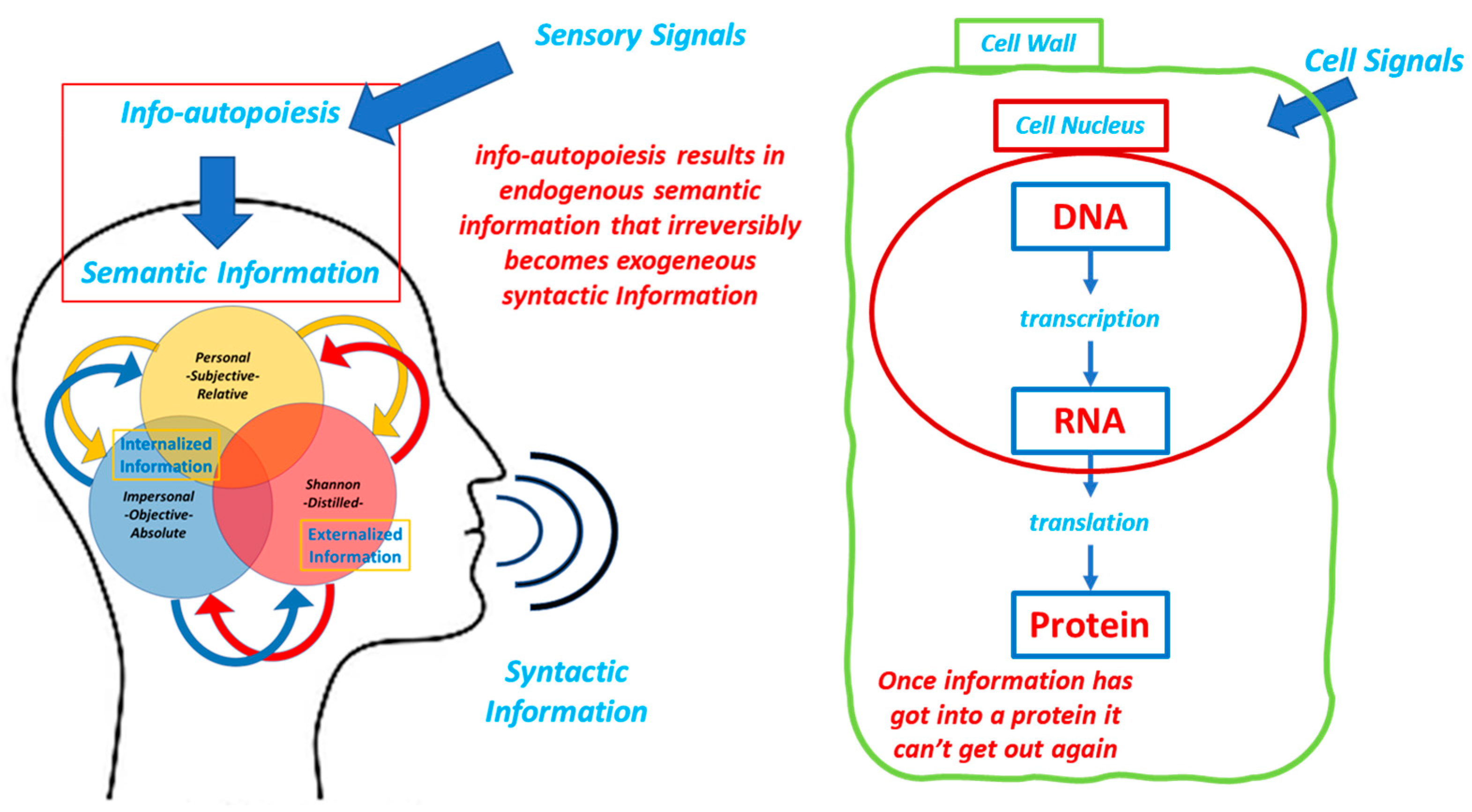Information 13 00365 g007 550