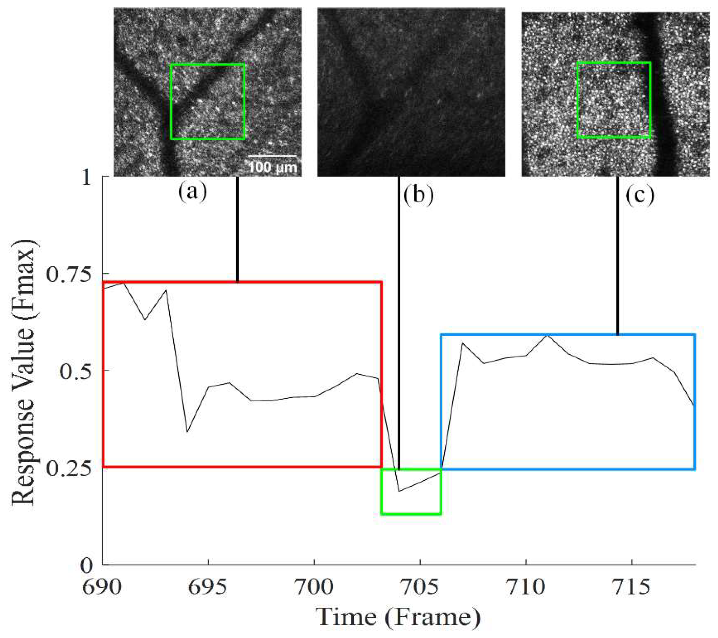 Information 13 00531 g004