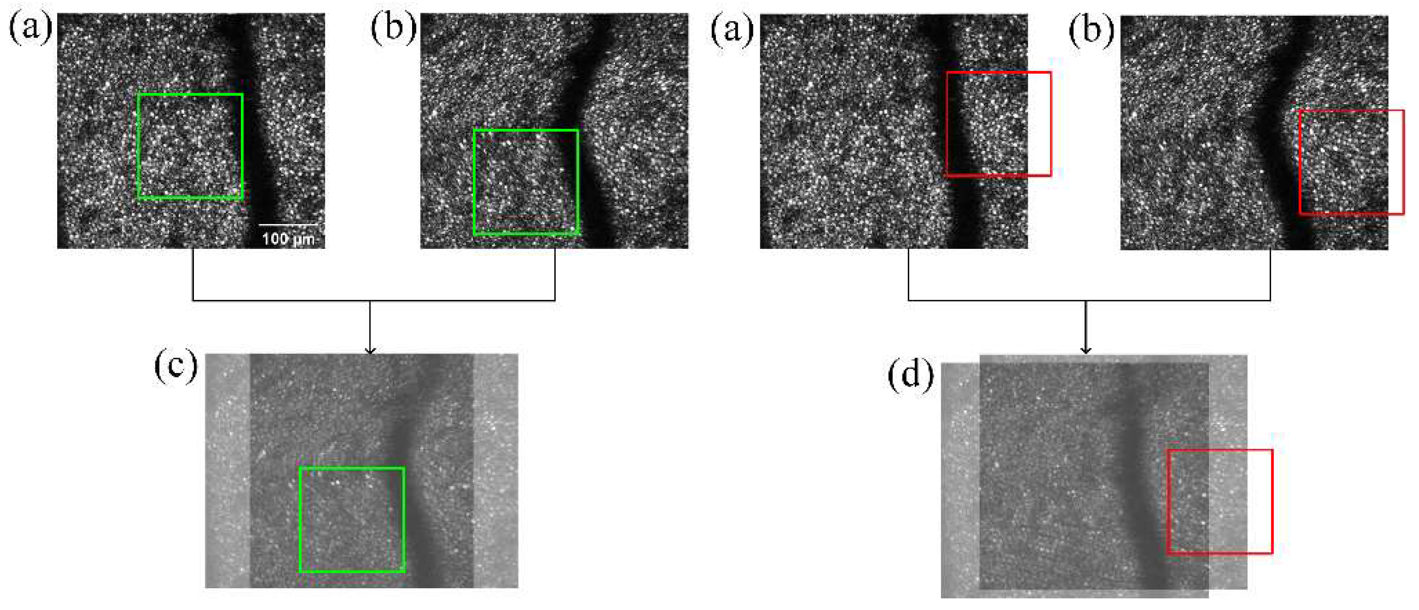 Information 13 00531 g007