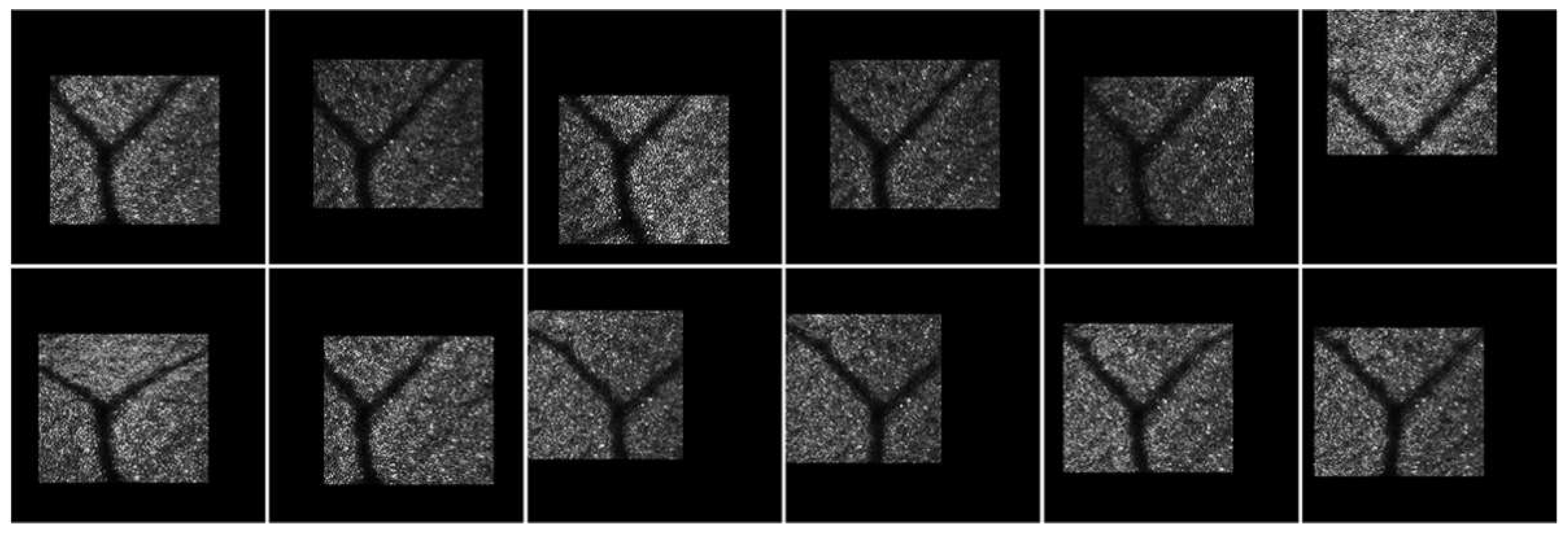 Information 13 00531 g014