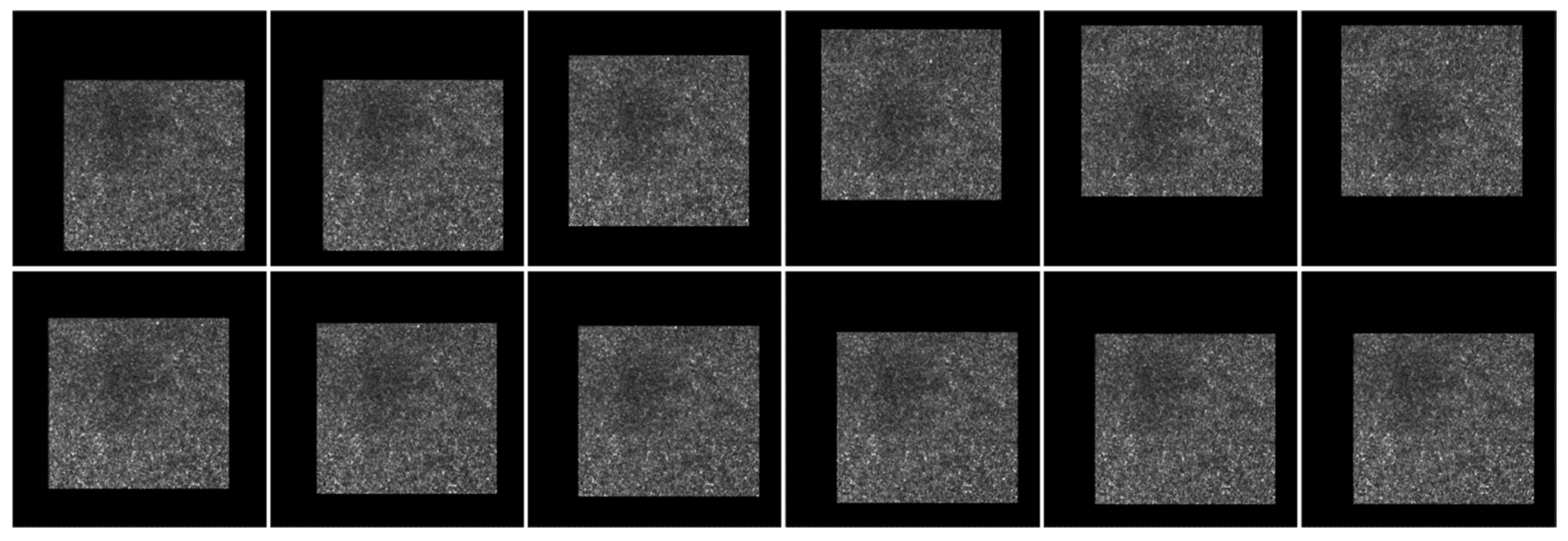 Information 13 00531 g016