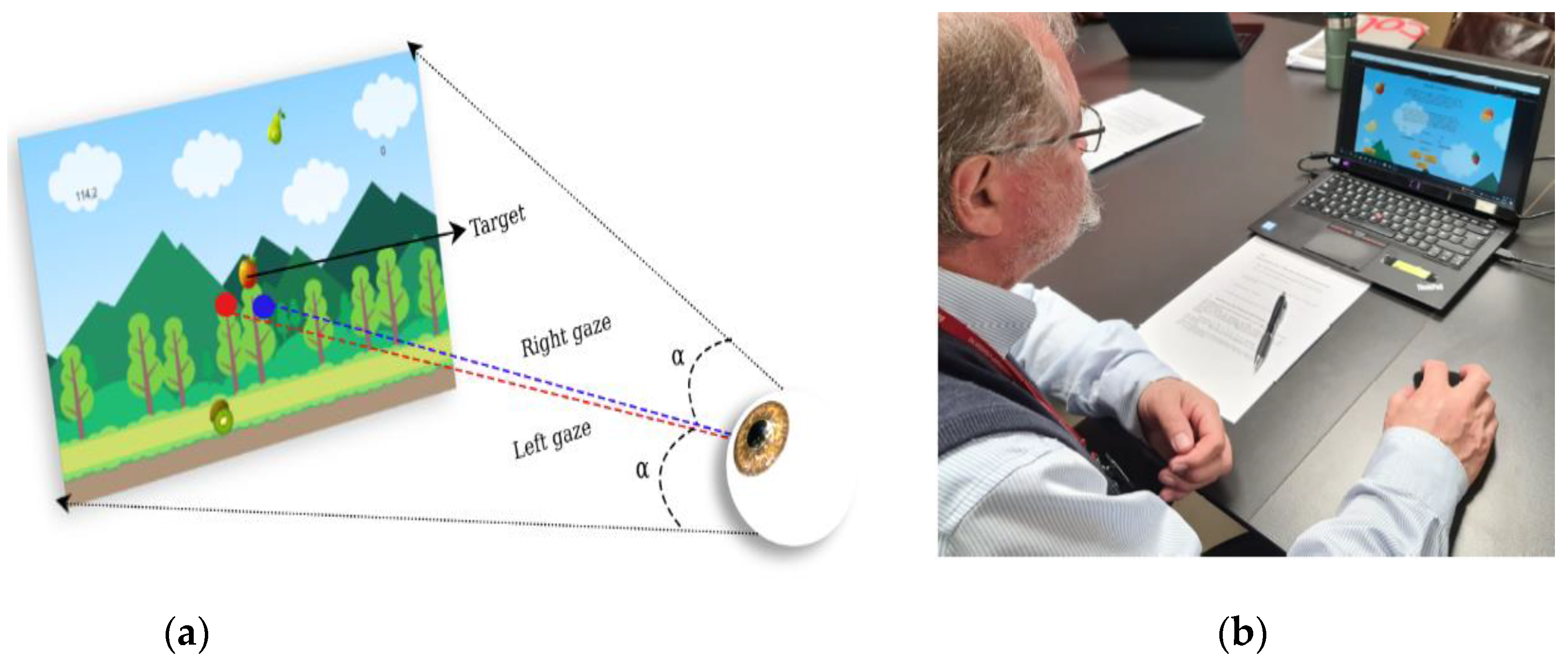 Information 13 00569 g007