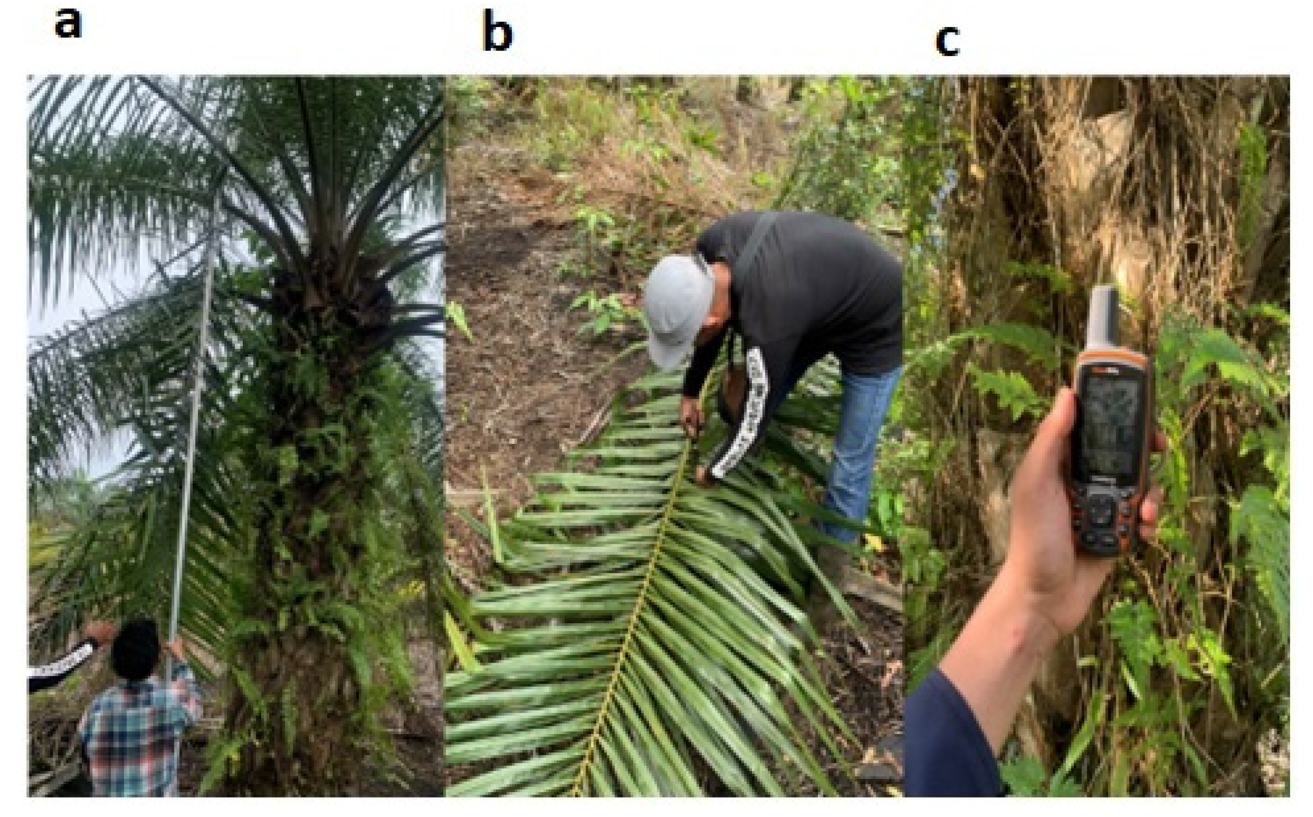 Information 14 00010 g001 Information 14 00010 g001