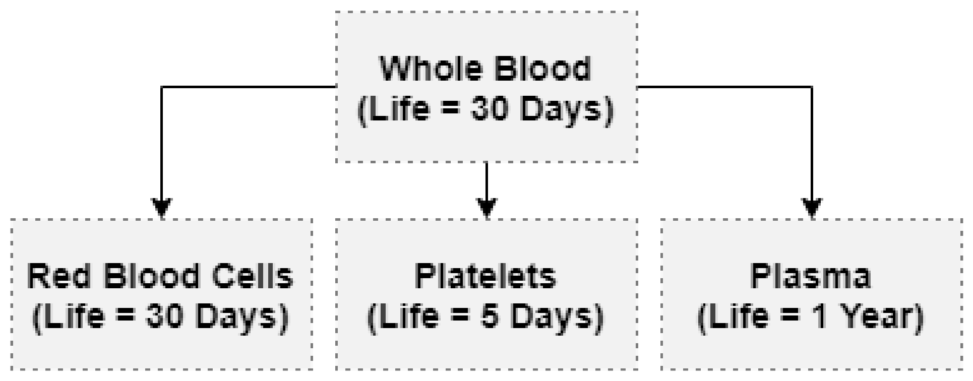 Information 14 00031 g002