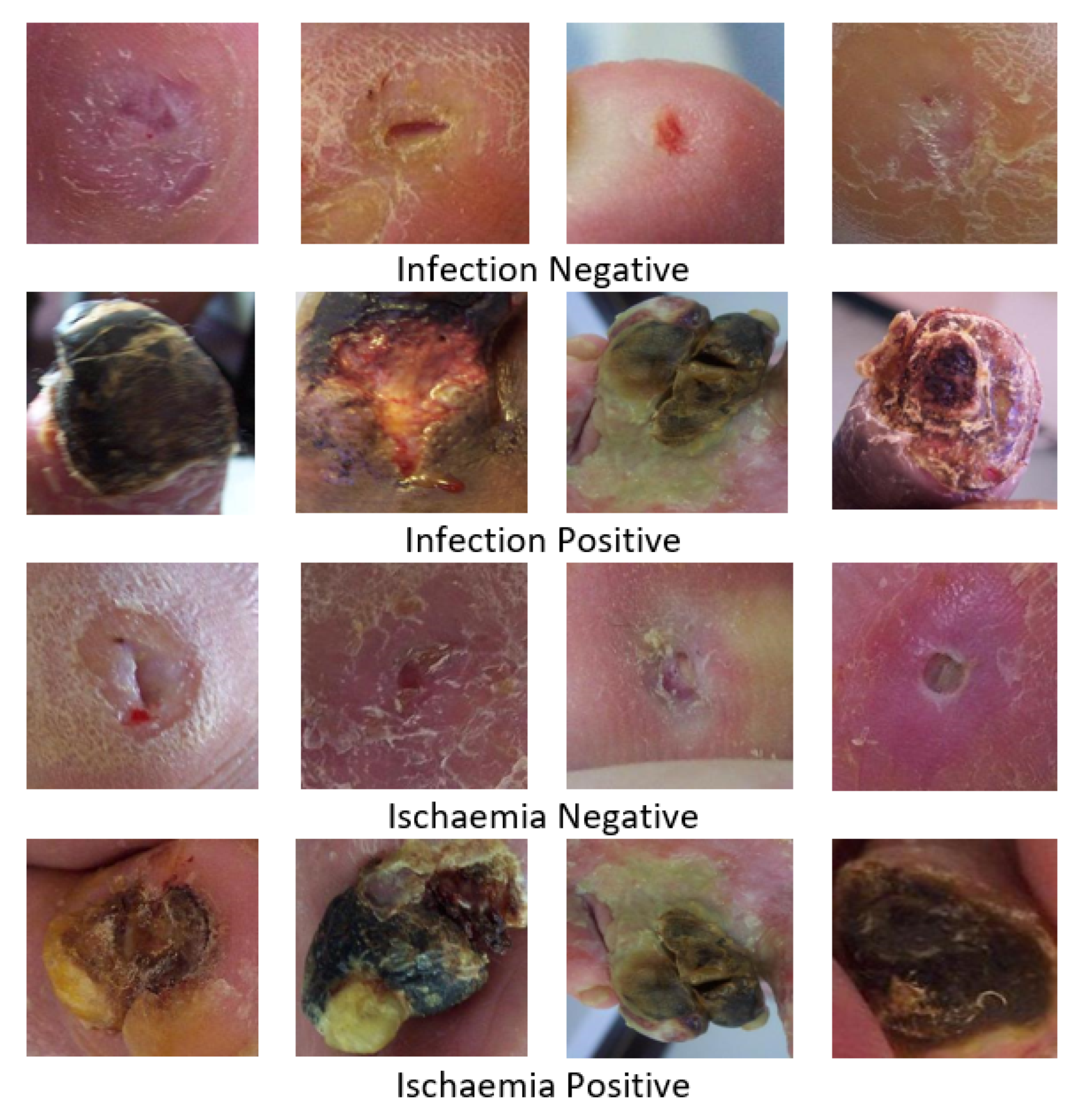 Information 14 00036 g002