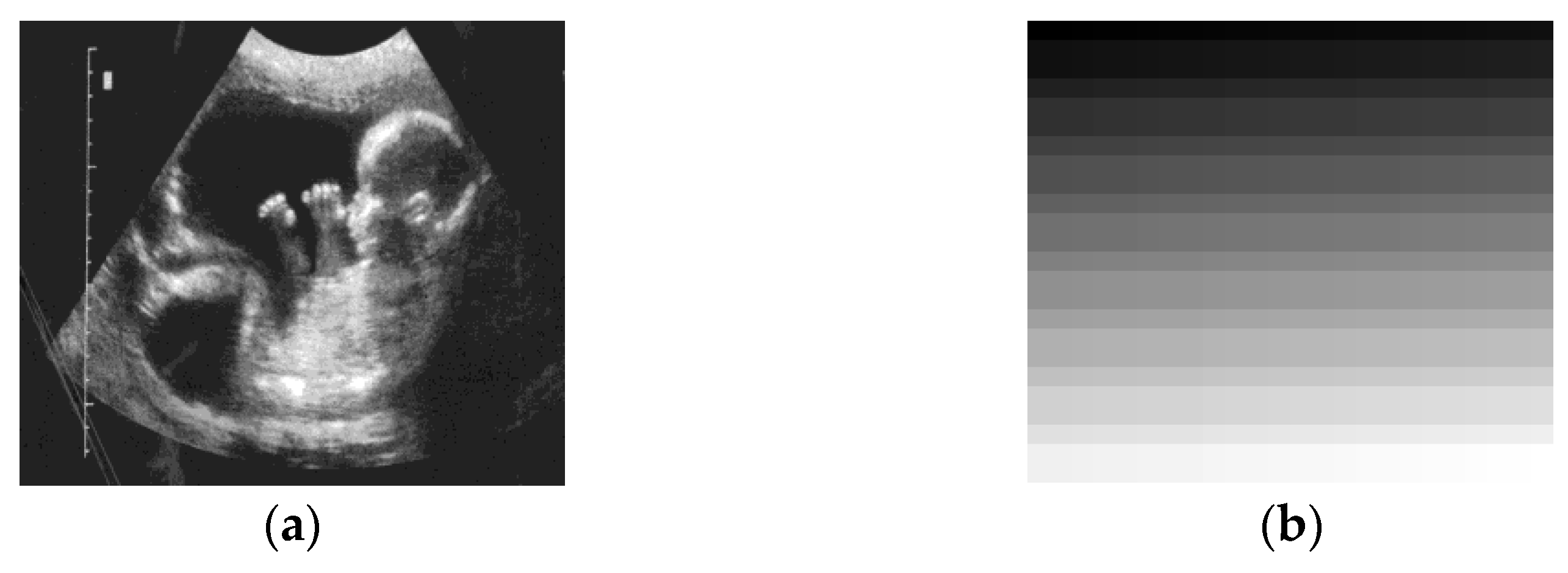 Information 14 00047 g003