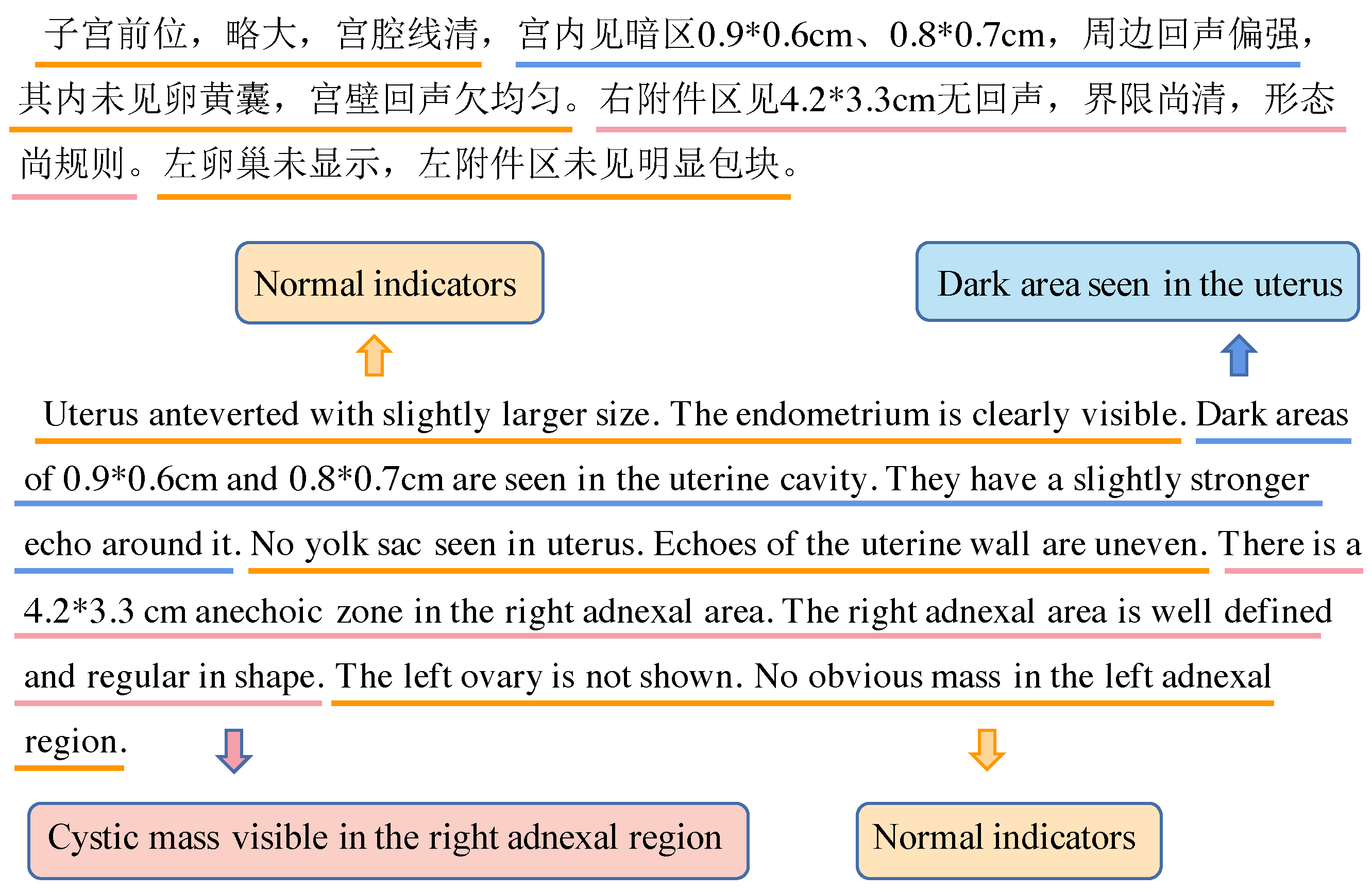 Information 14 00049 g005