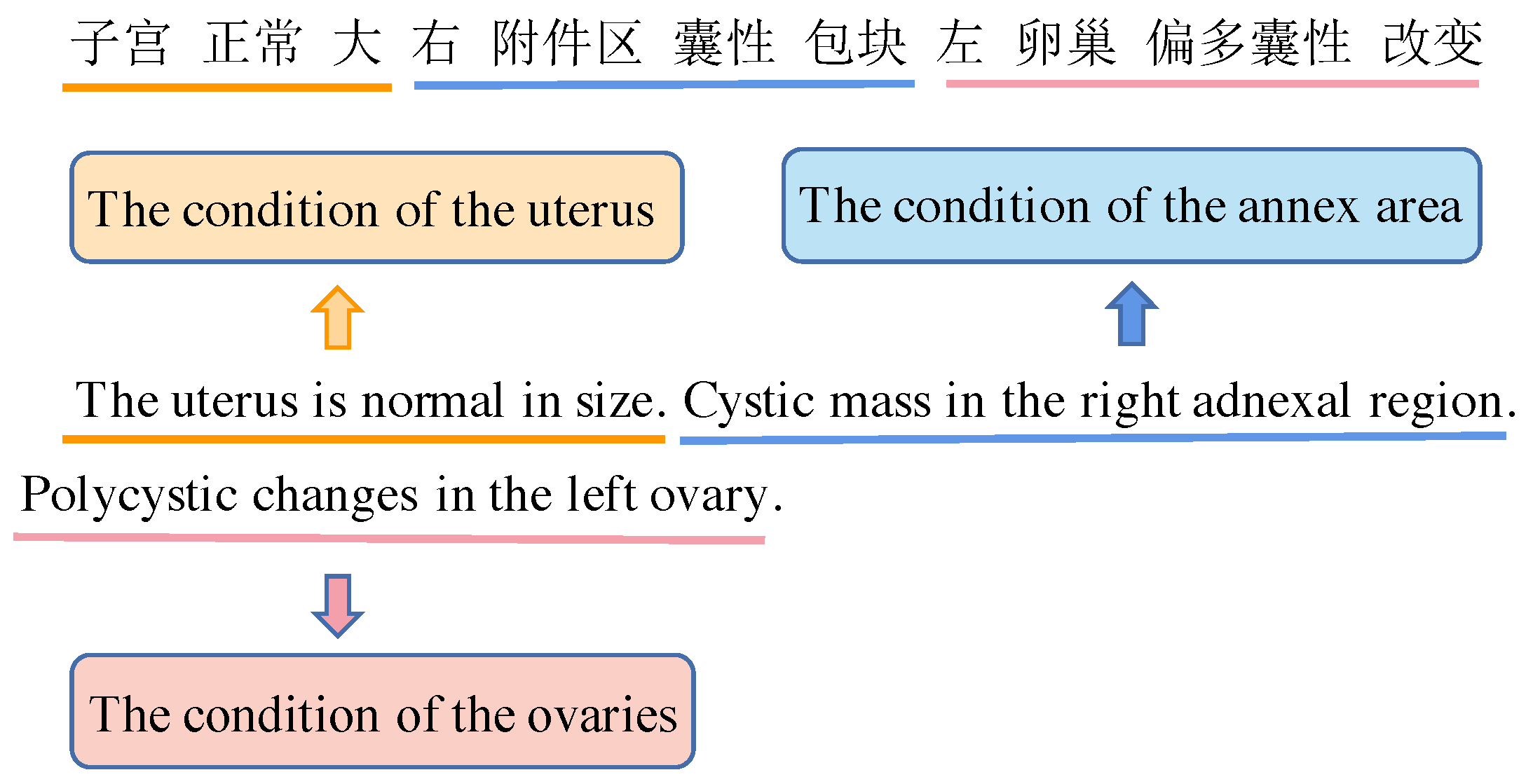 Information 14 00049 g006