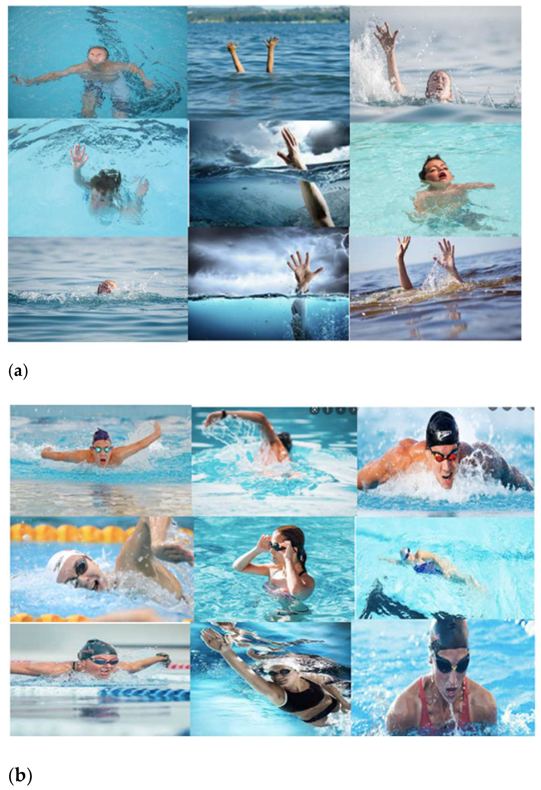 Information 14 00052 g012