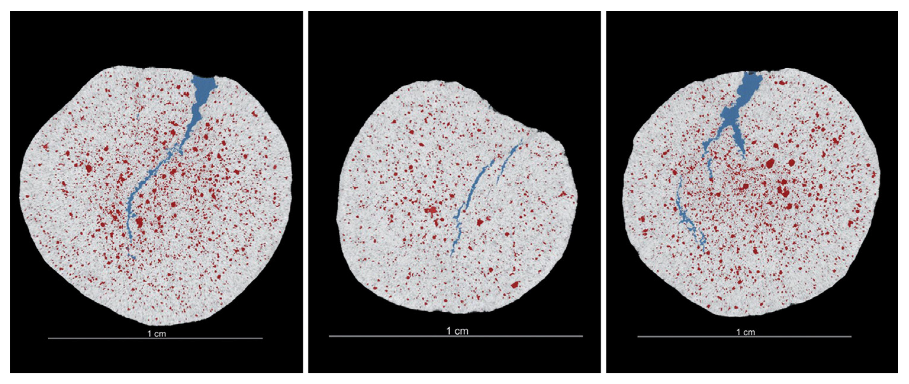 Information 14 00062 g002 Information 14 00062 g002