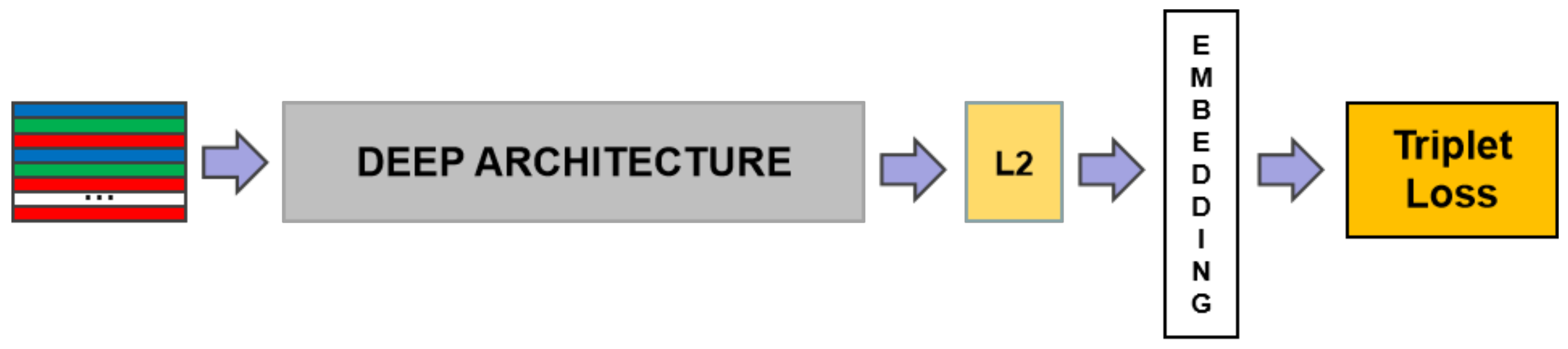 Information 14 00087 g001