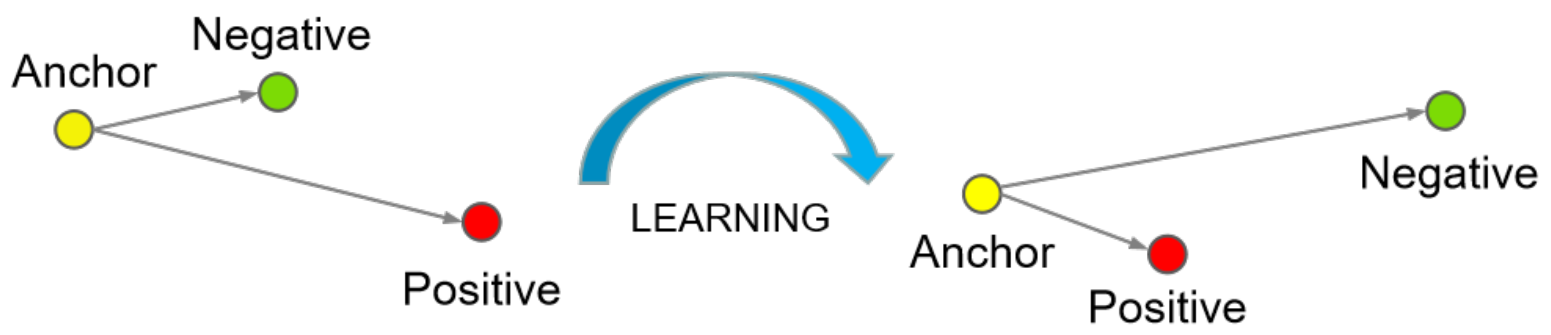 Information 14 00087 g002