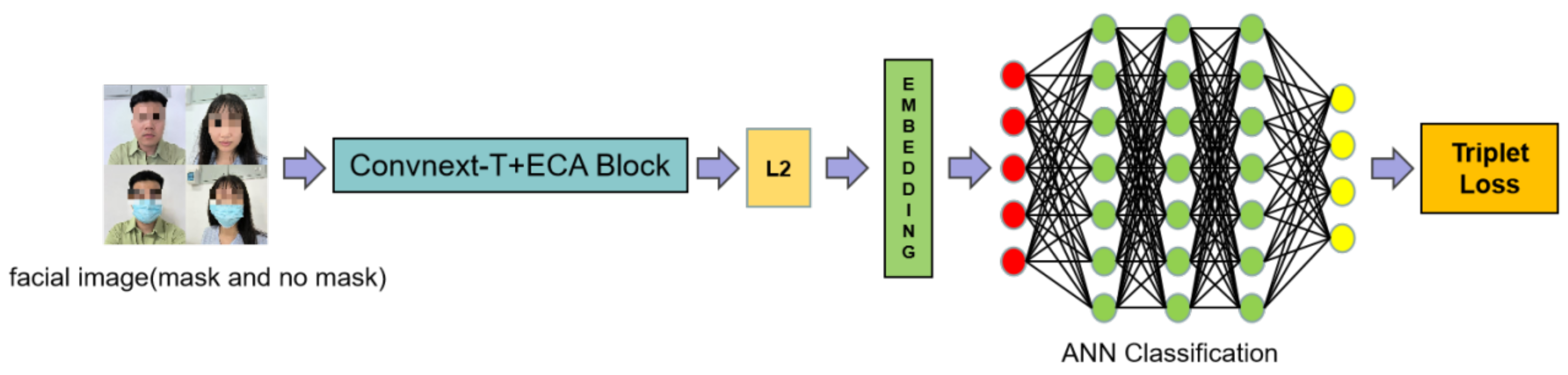 Information 14 00087 g003