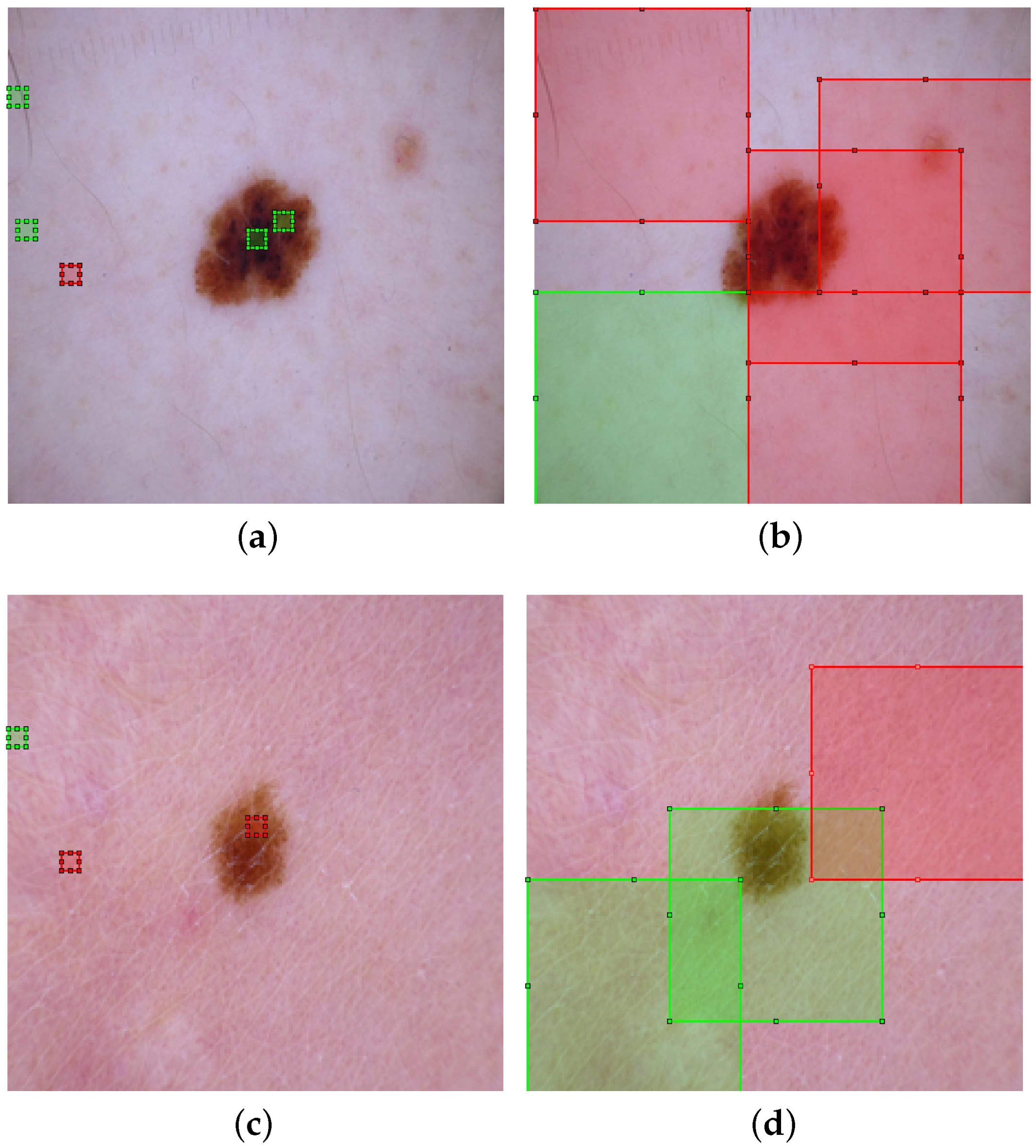 Information 14 00089 g004 Information 14 00089 g004