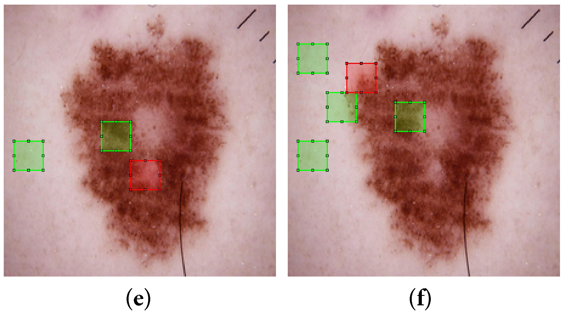 Information 14 00089 g005b Information 14 00089 g005b