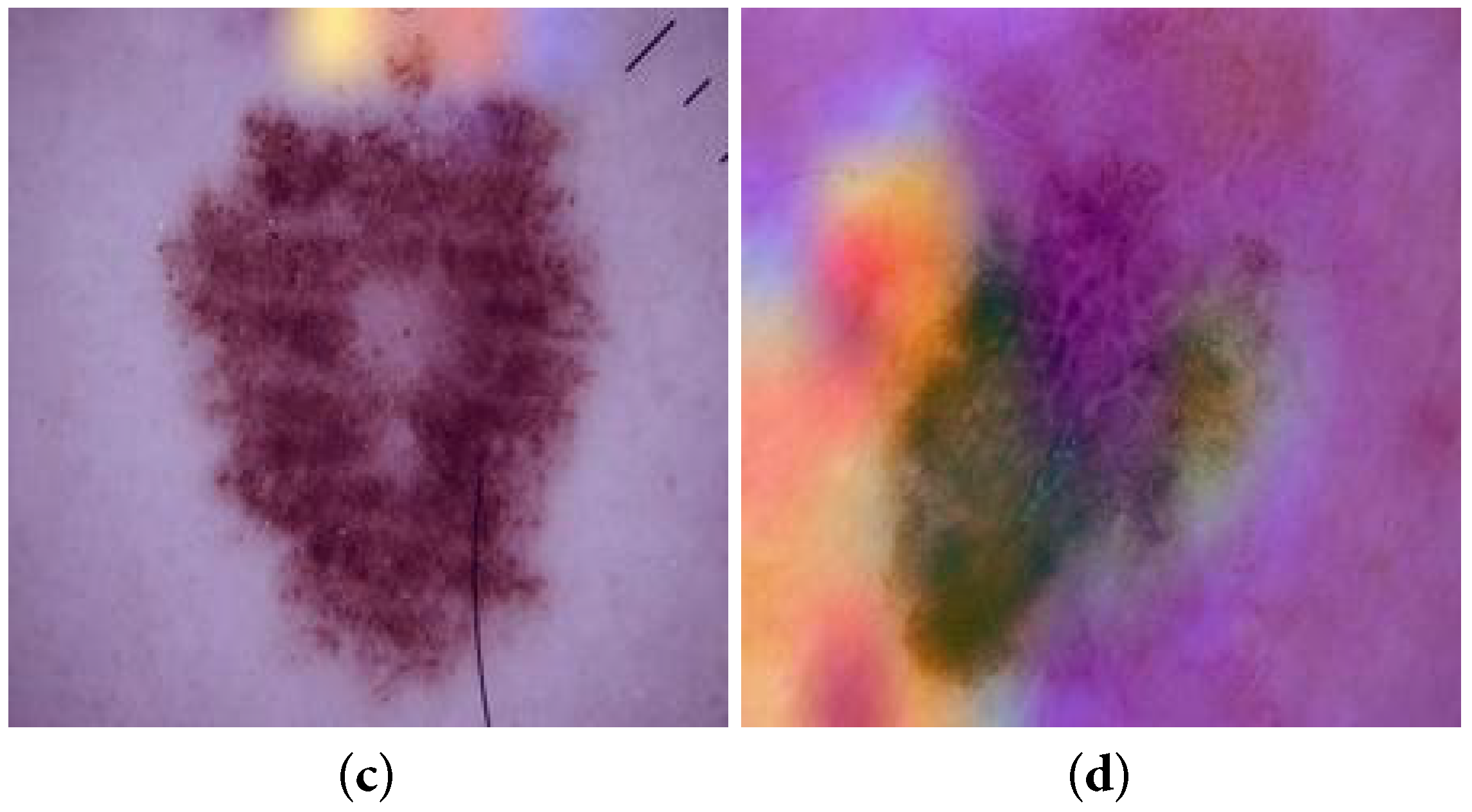 Information 14 00089 g006b Information 14 00089 g006b